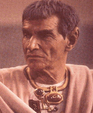 Sarek